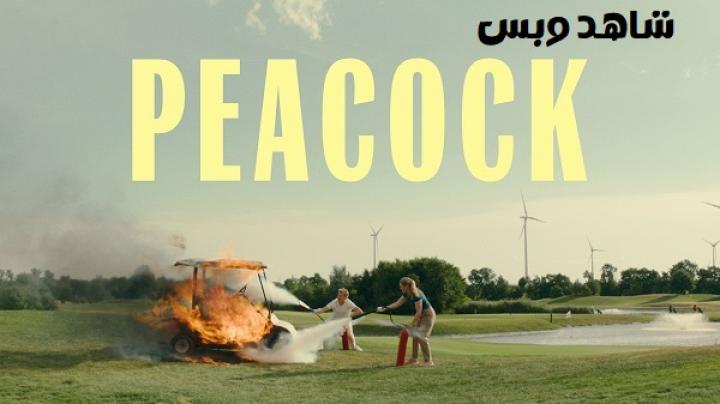 مشاهدة فيلم Peacock 2024 مترجم