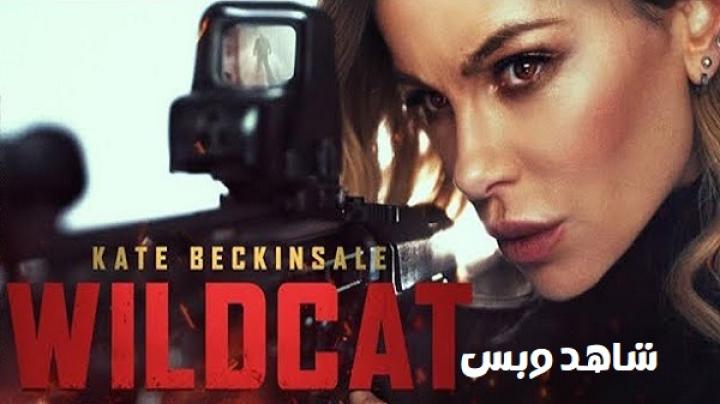 مشاهدة فيلم Wildcat 2025 مترجم