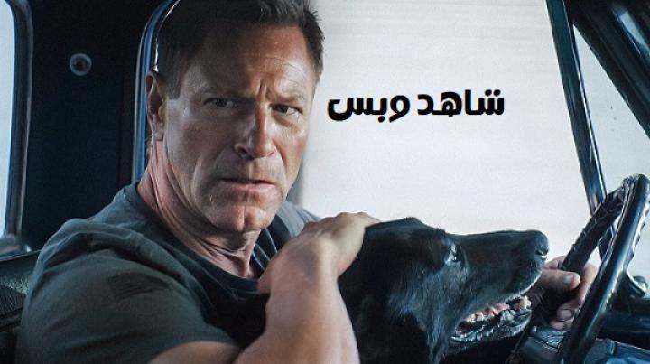 مشاهدة فيلم Muzzle 2 City of Wolves 2025 مدبلج