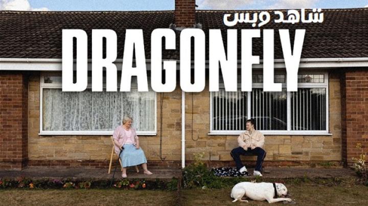 مشاهدة فيلم Dragonfly 2025 مترجم