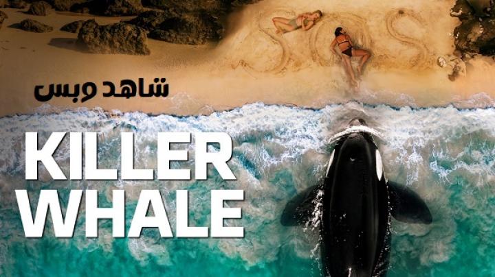 مشاهدة فيلم Killer Whale 2026 مترجم