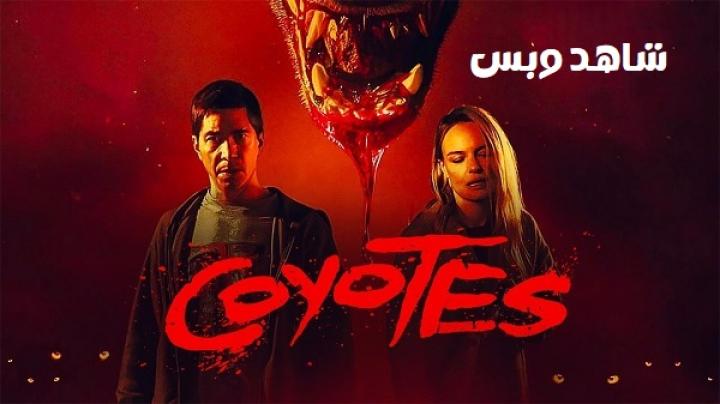 مشاهدة فيلم Coyotes 2025 مترجم