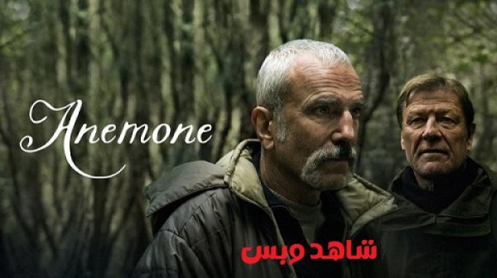 مشاهدة فيلم Anemone 2025 مترجم
