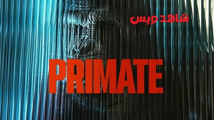 مشاهدة فيلم Primate 2025 مترجم
