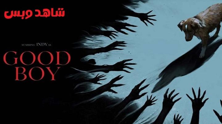 مشاهدة فيلم Good Boy 2025 مترجم