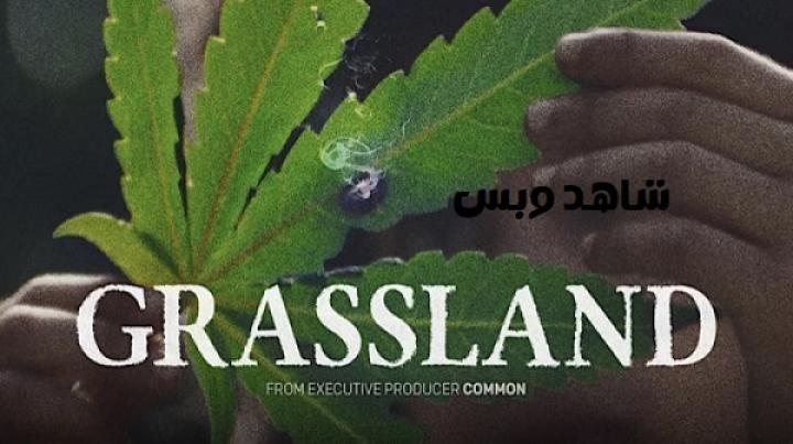 مشاهدة فيلم Grassland 2024 مترجم
