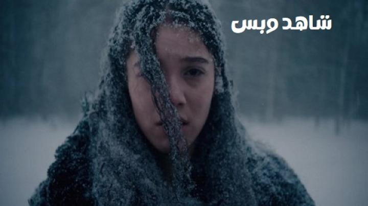 مشاهدة فيلم Hair Of The Bear 2025 مترجم